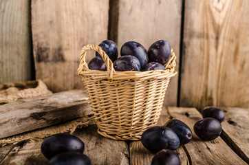 Freshly picked and washed plums