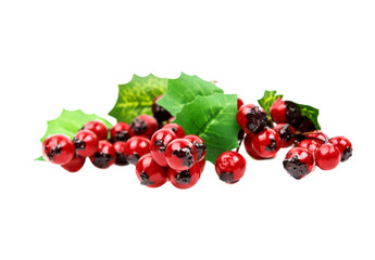  winterberry Christmas branch with red holly berries