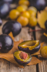 Freshly picked and washed plums