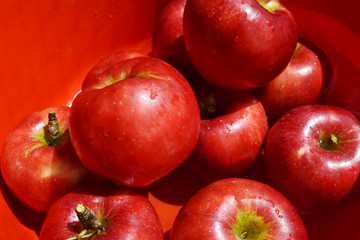 Fototapeta na wymiar 赤いリンゴ