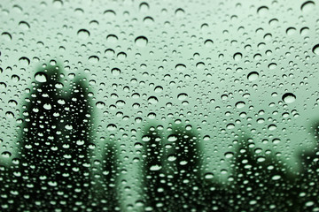 Water Drops with Trees Background, The Weather after Rain