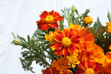 Obraz na płótnie Canvas Alstroemeria flowers in vase on table