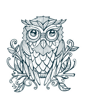 Hand drawn owl