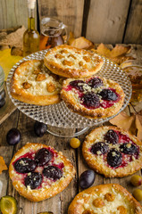 Traditional Czech cake with plums and prunes