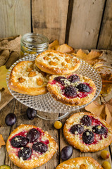 Traditional Czech cake with plums and prunes