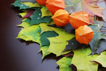 autumn leaves background