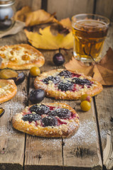 Traditional Czech cake with plums and prunes