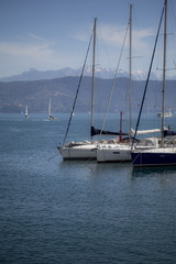 Barche a vela nel porto