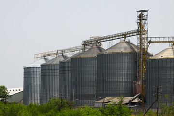 Obraz premium Row of granaries for storing wheat and other cereal grains, Agricultural Silo and kept production from agriculture.