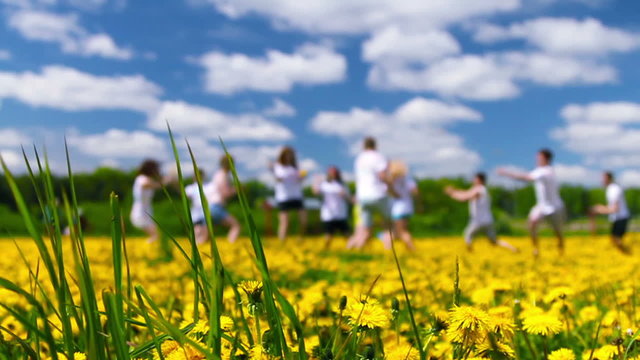Meadow of dandelions, teens playing