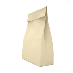 Lunch bag on white