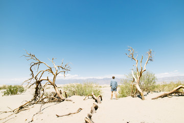 Man overlooking dry and arid sand dune landscape in Death Valley National Park