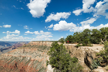 Man hiking overlooking epic view at the Grand Canyon National Park, Arizona, USA on a perfect Summer day with clear blue sky and puffy white clouds.