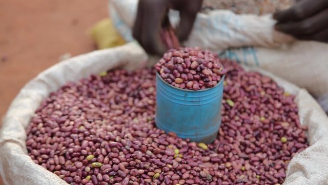 Scooping Dried Beans in Ugandan Market