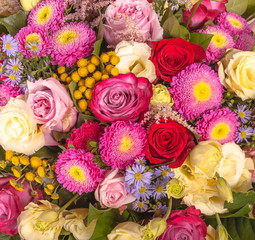 Abstract background of flowers. Close-up