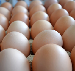 eggs in a market