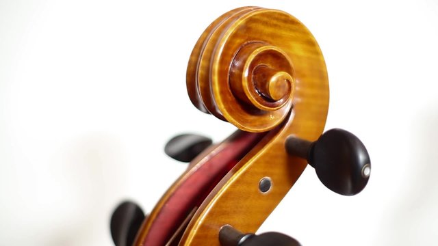 Cello Head Macro Rack Focus