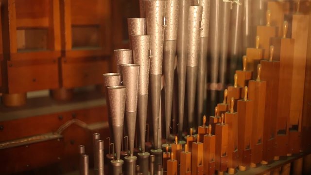 Pipes of an Organ Tilt and Pan