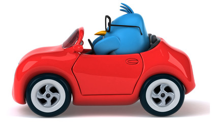 Obraz premium Blue bird
