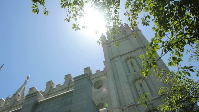 Mormon Temple and Tree Sunlight