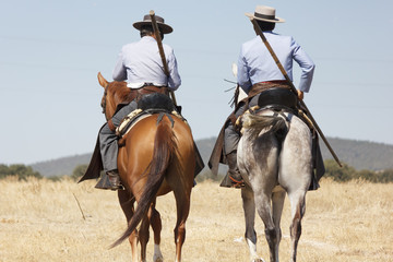 Vaquero montando a caballo. Paseo a caballo. Deporte ecuestre. Equitación deportiva.