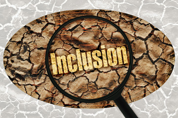 Inclusion