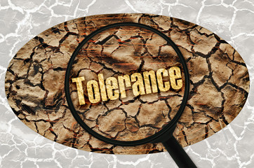 Tolerance