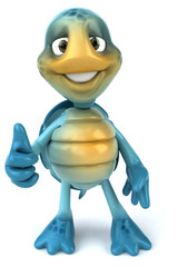 Fun turtle
