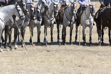 Vaquero montando a caballo. Paseo a caballo. Deporte ecuestre. Equitación deportiva.