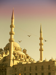 Fototapeta na wymiar Mezquita de Estambul con palomas