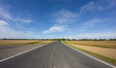 Road Between Corn Field  Under Blue Summer Sky In South Burgenland Austria