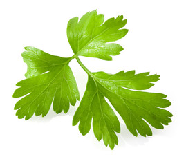 Parsley isolated on white background.