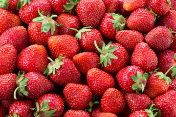 Fresh ripe perfect strawberry - Food Frame Background