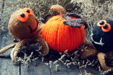 Halloween background, handmade, pumpkin, spider, october