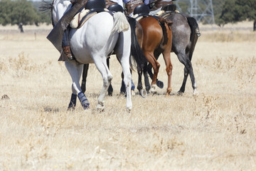 Vaquero montando a caballo. Paseo a caballo. Deporte ecuestre. Equitación deportiva.