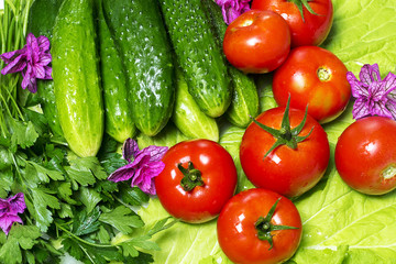 Fototapeta na wymiar Fresh tasty vegetables for cooking. food