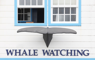 Naklejka premium Whale watching building facade with whale tale in Azores. Portug