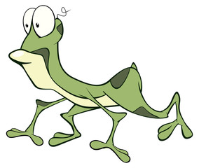 A green frog. Cartoon