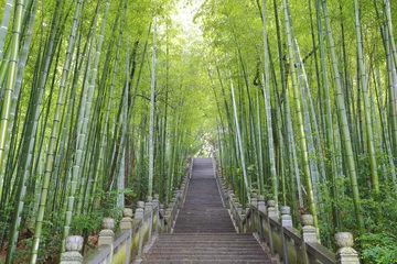 Foto op Plexiglas Bamboe Schilderachtige trap voor bergbeklimmers naast het bamboebos