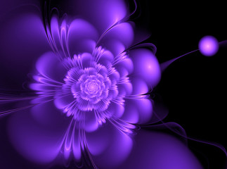 Abstract fractal background with a picture of a purple flower