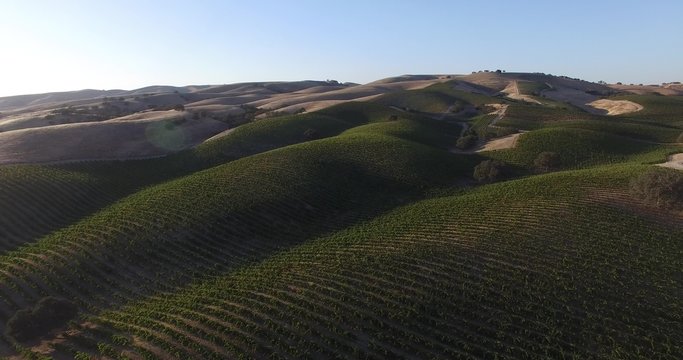 Rolling green hills vineyard vine agriculture land aerial view beautiful landscape california wine country 