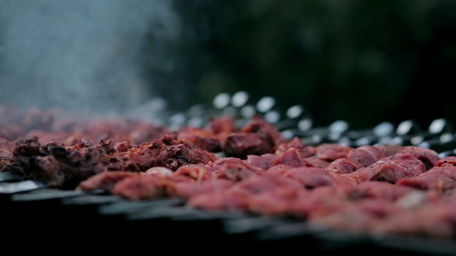 A tasty meat cooking on a fire