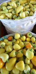 Ripe paprika in a market for sale