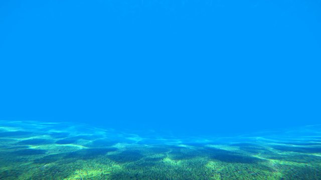 Underwater sunlight reflections on seabed. Caustics ripple in the blue ocean water