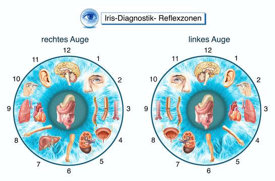 Iris-Diagnostik. Augendiagnose