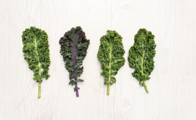 Three leaves of fresh green kale and one of red kale on white table