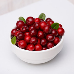 Cowberry isolated