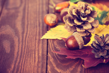 Autumnal still life with acorn pinecone and yellow leaves on