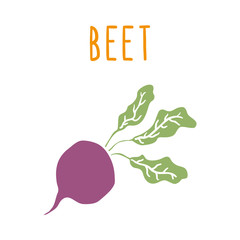 Beet root isolated on white. 