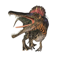 Dinosaur Spinosaurus